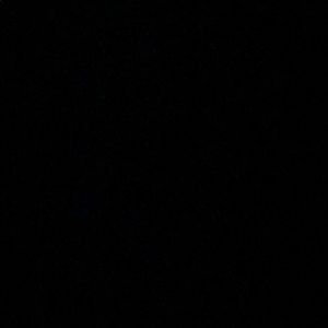 Meet your Posher, Shawn